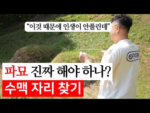 무덤 파묘 하면 정말 인생이 바뀔까? 수맥 자리 찾아 파동 바꾸기