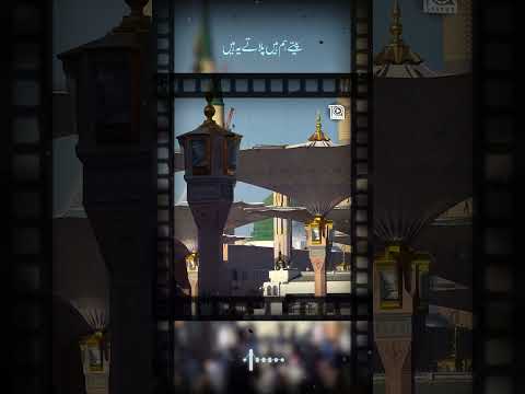 Status - Zameen Meli Nahi Hoti - Hafiz Tahir Qadri