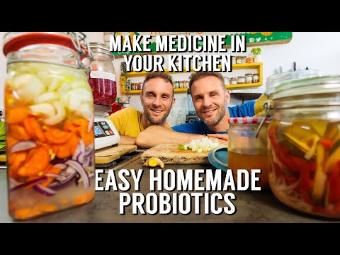 HOW TO MAKE PROBIOTICS AT HOME | EASY RECIPE 2022
