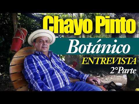 ENTREVISTA A BOTANICO CHAYO PINTO - SEGUNDA PARTE (2/4)