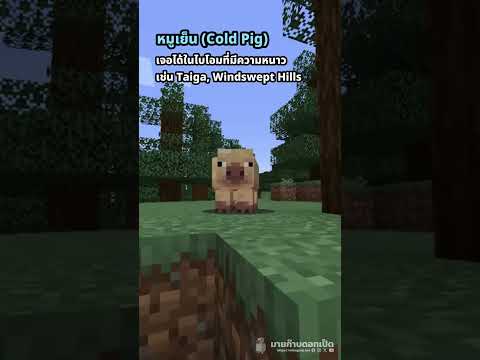 รู้จักกับหมูใหม่ในMinecraftเ