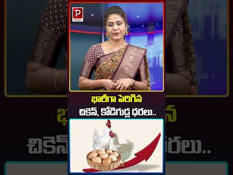 భారీగా పెరిగిన చికెన్, కోడిగుడ్ల ధరలు | Eggs Rates Hike | Telugu Popular TV