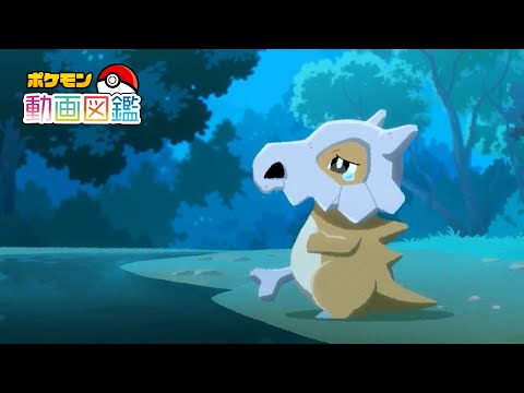 【公式】「ポケモン動画図鑑」No.0104 カラカラ