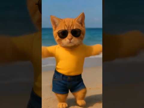 cute cat dance#catdance#cutecat#cat#shorts