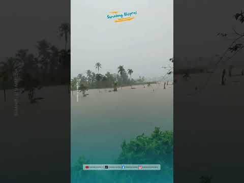 Pasaman Diterjang Banjir Bandang, Dua Warga Alahan Mati Dilaporkan Hanyut Terbawa Arus