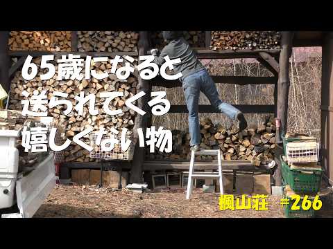 #266 65歳になりました / 65歳になると送られてくる嬉しくない物とは…でも65歳ってそういう歳なんですね^^;