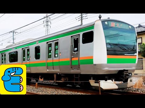 E231系 E233系 E131系 E257系電車 金太郎 桃太郎 宇都宮線 通過 E231 E233 E131 E257 Utsunomiya Line Passing [English Subs]