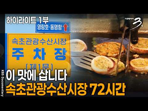 이 맛에 삽니다 - 속초관광수산시장 72시간 [하이라이트 1부] | KBS 다큐멘터리 3일 20260831 방송