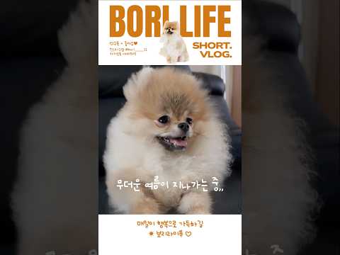 잘가라 여름아! 가을아 어서오고~