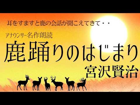 【名作朗読】宮沢賢治「鹿踊りのはじまり」【フリーアナウンサーしまえりこの読み聞かせ】※本編途中広告なし