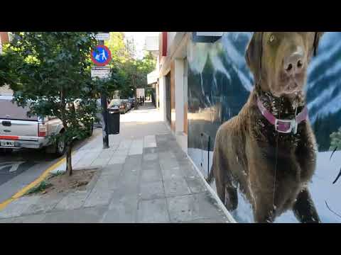Buenos Aires - Mariano Moreno Library | Virtual Tour [4K]