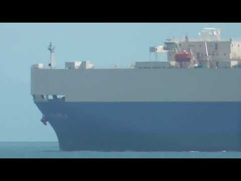 Vehicles Carrier PALMELA 4 2025