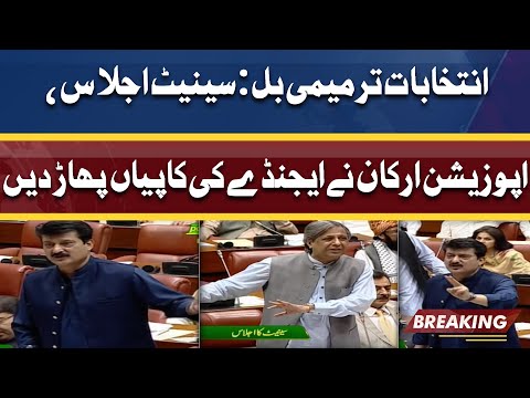 Election Amendment Bill | Heated Debate in Senate Session | PTI vs Govt