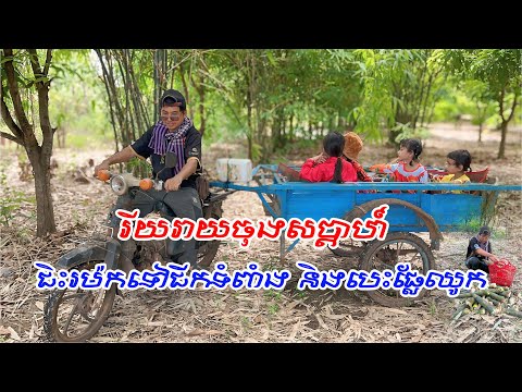 ជិះរម៉កទៅជីកទំពាំងនិងបេះផ្លែឈូកនៅចំការ | Happy weekend | Natural Life Vlog #natural #happy #weekend