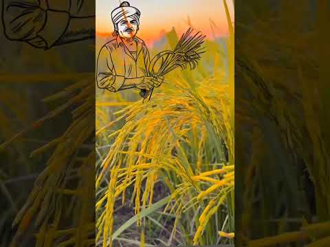 जिंदगी में ऐसे लोगों को जोड़ी#youtube #shortvideo