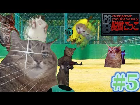 【猫ミーム】脱獄ごっこをすることになった猫たちの物語 第5話