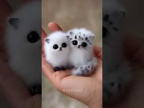 📍Most Beautiful Places Don't Feel Real🌏#travel #nature #adventure #shorts