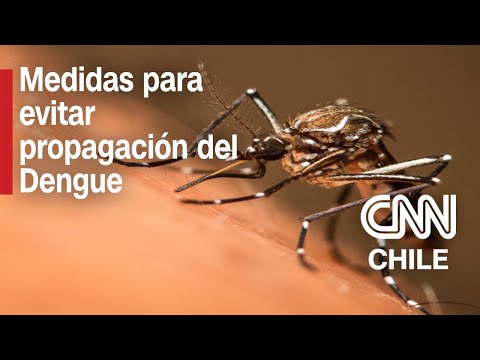 Minsal detalla medidas sanitarias implementadas para impedir la propagación del Dengue en Chile