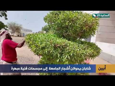 إبداع يمني يبهر الجميع.. أشجار جامعة أبين تتحول إلى تحف فنية
