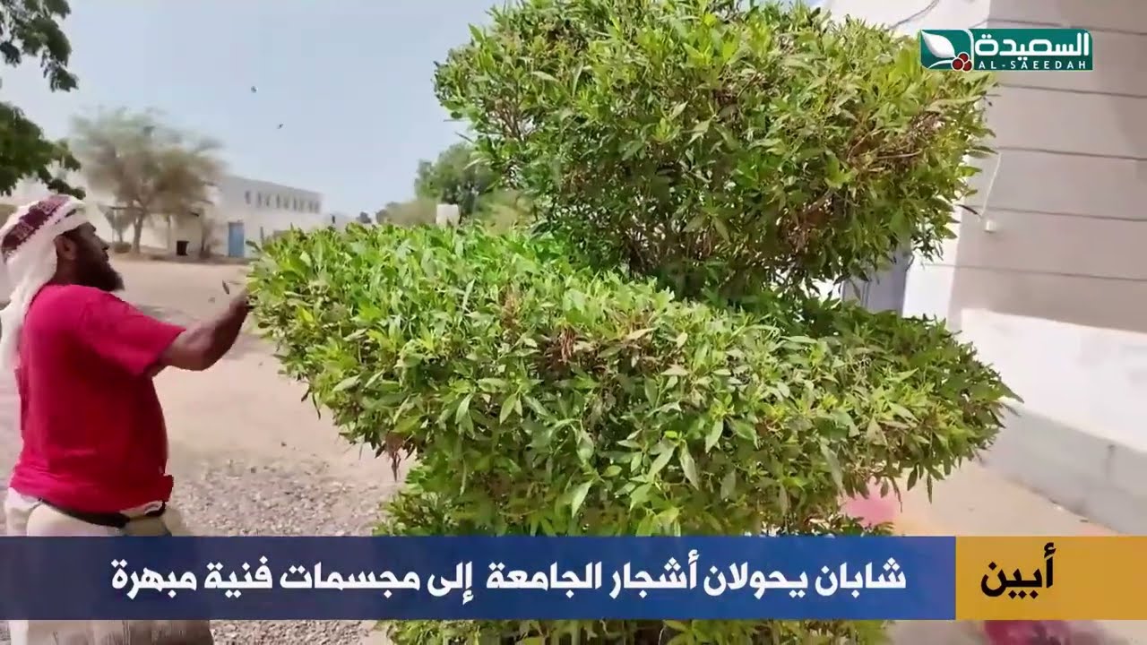 قناة السعيدة