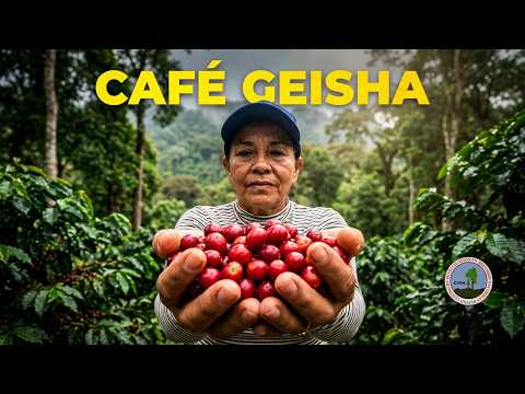 Panama Coffee Farmers React to Major News