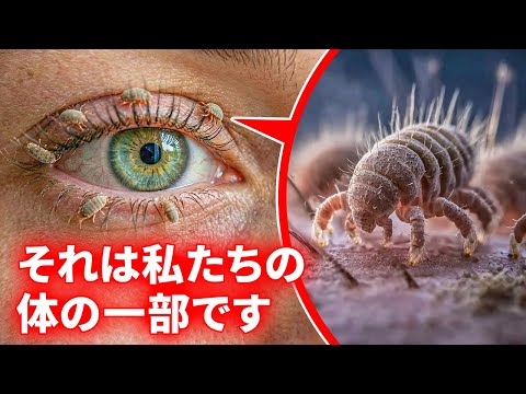 人間の体は本当に不思議です