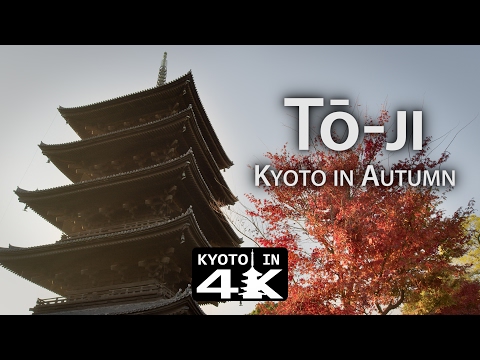 Beautiful Kyoto: Autumn 2016 T?-ji [4K]