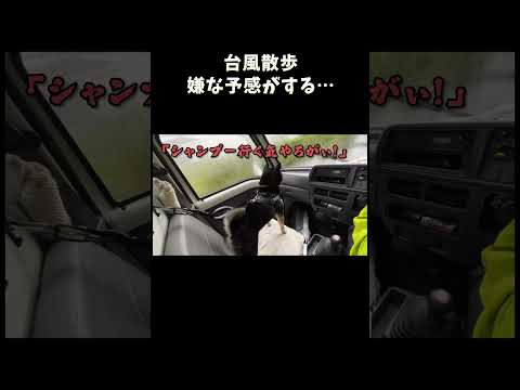 嫌な予感がする