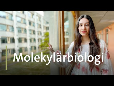 Varför studera molekylärbiologi vid Stockholms universitet? Fråga mig!
