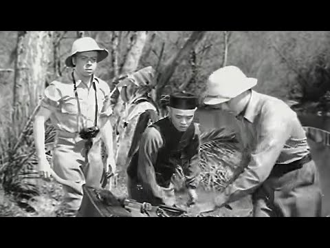 Terry and the Pirates (1940 serial) Chapters 1 to 15