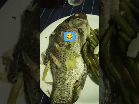 #ขำๆ #comedy #คลายเครียด #หลูโตนเจ้าของ