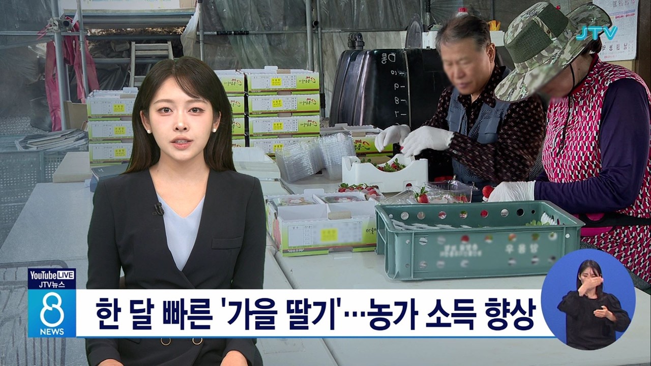 이미지 없음