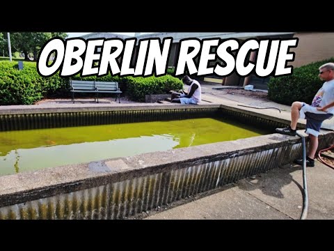 OBERLIN RESCUE 