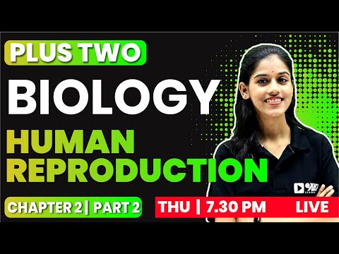 PLUS TWO BIOLOGY | CHAPTER 2 PART 2 | Human Reproduction | EXAM WINNER