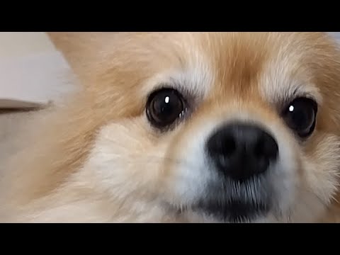 雑談する!(一様昨日も しました。1話)#1