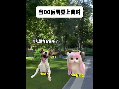 猫の動画サムネイル - 当00后蜀黍上岗时#有趣 #猫meme #猫meme剧场 #猫meme小剧场 #内容过于真实  #故事 #貓 #猫猫meme小剧场 #喵不可言