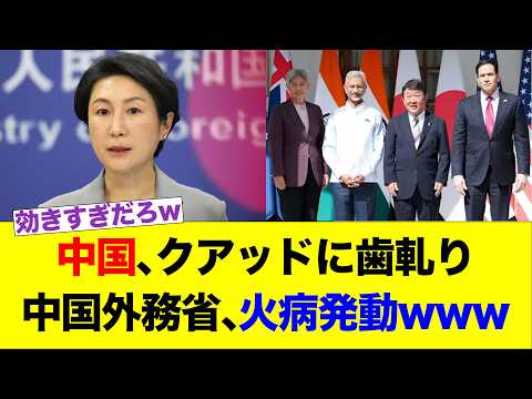 中國、クアッドに齒軋り 中國外務省、火病發動www