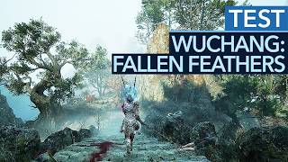 Vido-Test Wuchang Fallen Feathers par GameStar