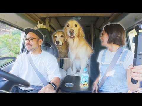 【車中泊】愛犬の老いと息子の成長を感じた誕生日キャンプ