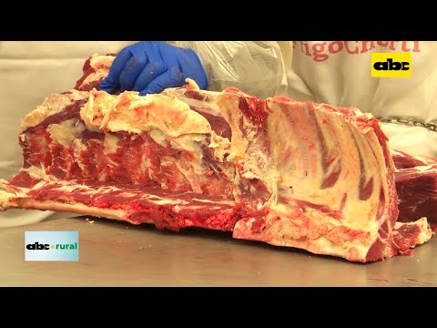 Paraguay exportará carne con hueso