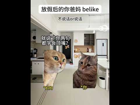 猫の動画サムネイル - 放假后的你爸妈be lik：#猫meme#搞笑#内容过于真实 #猫meme #万万没想到 #内容过于真实