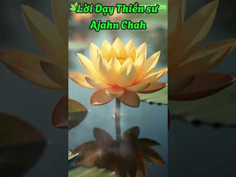 Lời Dạy Thiền Sư Ajahn Chah | Hành động tốt đem lại quả tốt. | An Nhiên