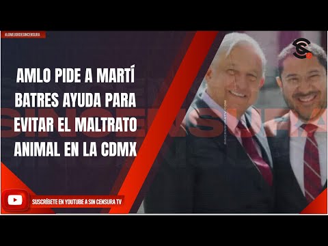 AMLO PIDE A MARTÍ BATRES AYUDA PARA EVITAR EL MALTRATO ANIMAL EN LA CDMX