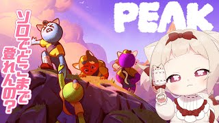 【PEAK】マルチゲー、ソロでどこまで登れるの?!/初見さん大歓迎✨