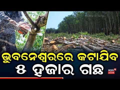 ଭୁବନେଶ୍ୱରରେ ହାହାକାର ! Bhubaneswar Traffic Plan | 5,000 Trees May Be Cut for Flyover &amp; Road Widening