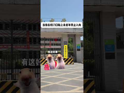 猫の動画サムネイル - 当我在校门口贴未成年禁止入内 #有趣 #猫meme #猫meme剧场 #内容过于真实  #故事 #貓 #猫猫meme小剧场 #喵不可言