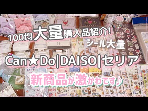 ［大量100均購入品］新商品が激かわです❤️Can★Do|DAISO|セリア✨✨