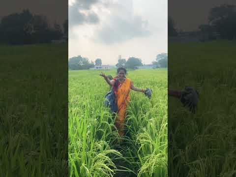 तेरी #दया का अन्त नहीं #माँ