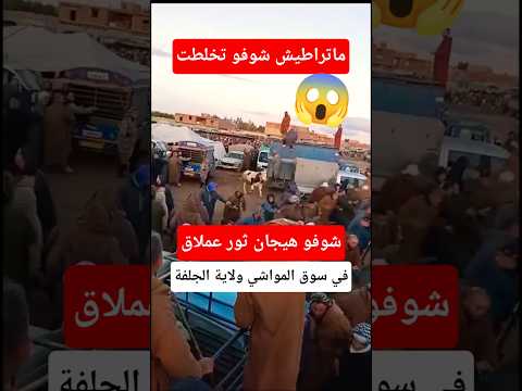 هيجان ثور عملاق في سوق المواشي ولاية الجلفة
