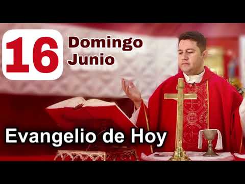 EVANGELIO DE HOY  DOMINGO 16 DE JUNIO 2024 (San Marcos 4, 26-34) | PADRE RICARDO PRATO